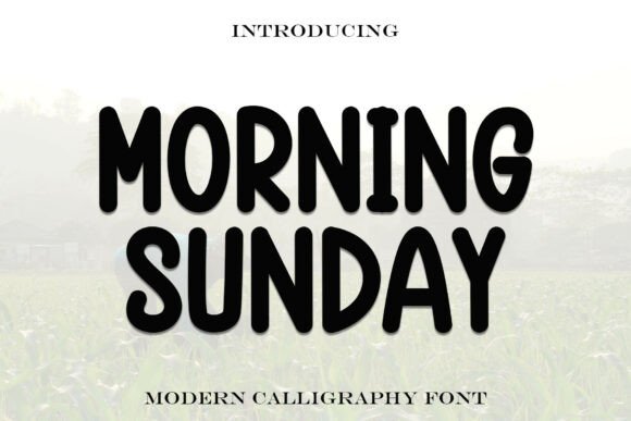 Morningsunday Font for Cozy Display Designs