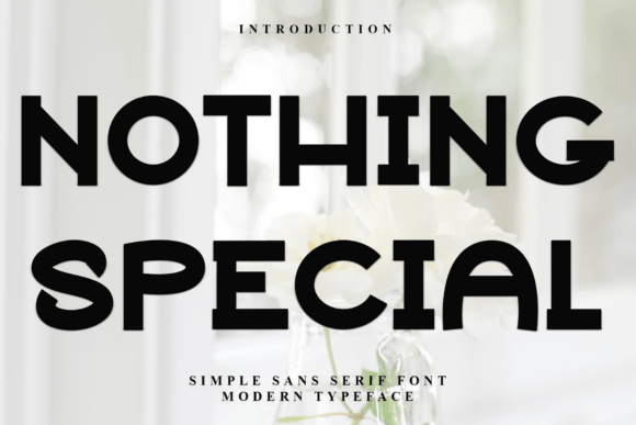 Nothing Special: A Display Font for Eye-Catching Campaigns